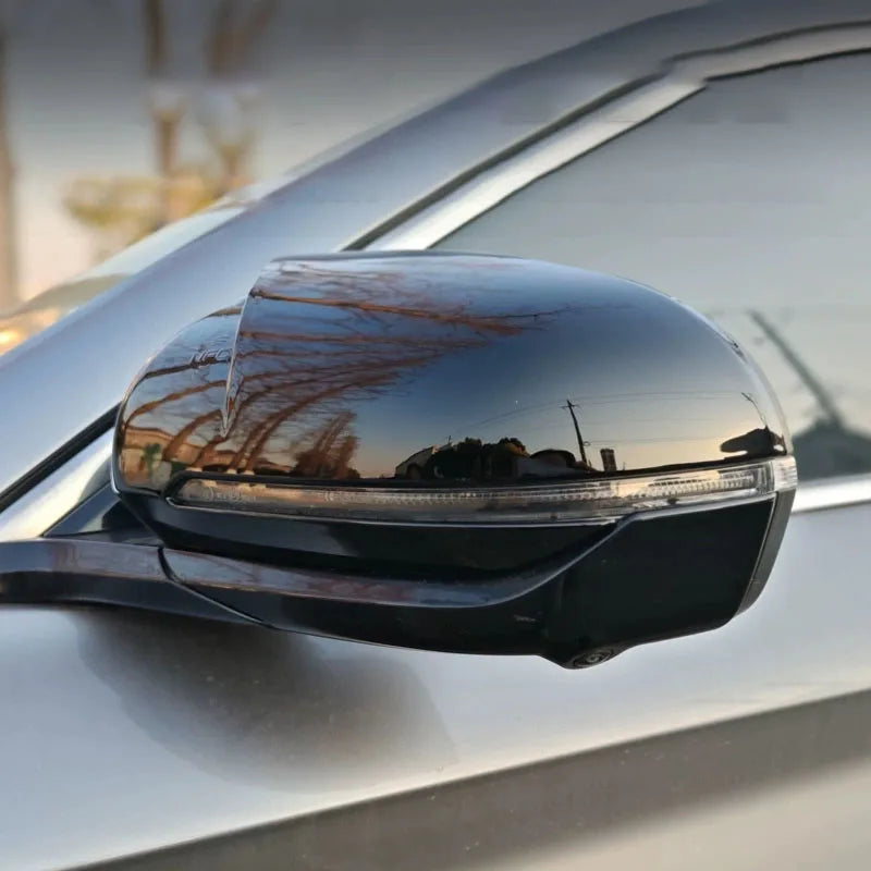 For BYD Atto3 Song pro Seal U Sealion 6 Song Plus 2022 2023 2024 2025 Car exterior rearview mirror protective cover