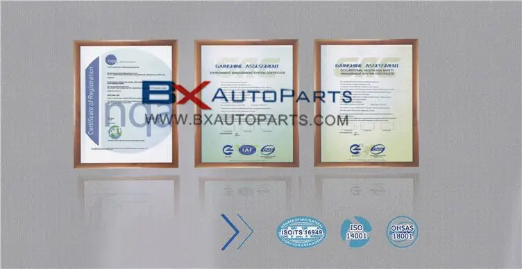 BD-485 BRAKE BOOSTER FOR NISSAN Y61 GU4.8 TB48 1997-2013 (GAS) 86504060 86501389